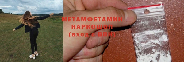 индика Костерёво