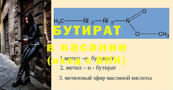 сатива Коряжма
