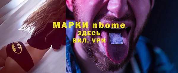 индика Костерёво