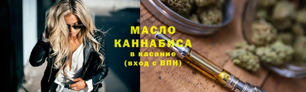 сатива Коряжма