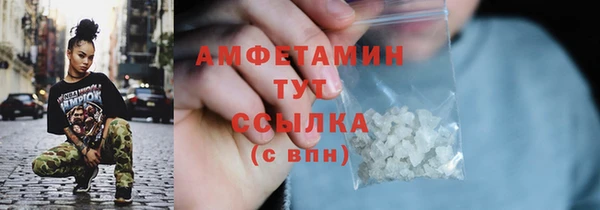 индика Костерёво
