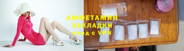 сатива Коряжма