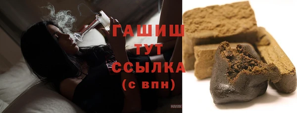 сатива Коряжма