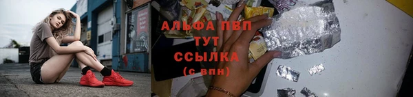 сатива Коряжма