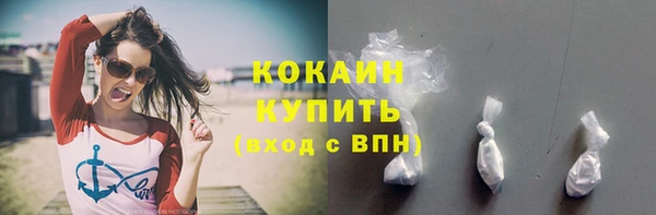 сатива Коряжма