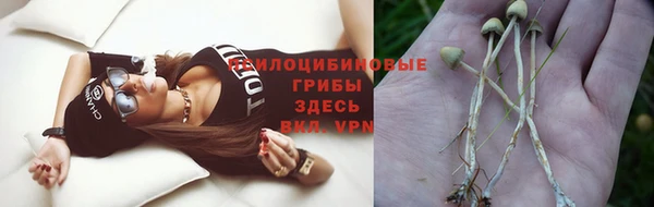 индика Костерёво