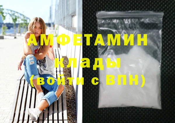 индика Костерёво
