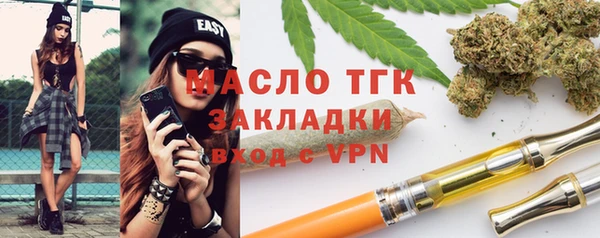 индика Костерёво