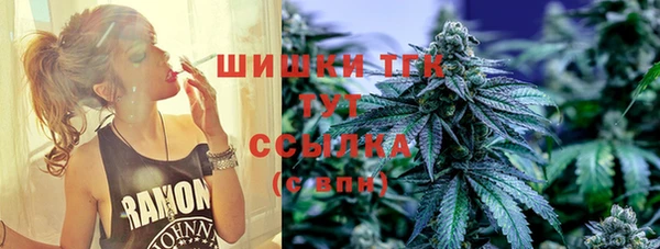 мяу мяу кристалл Корсаков