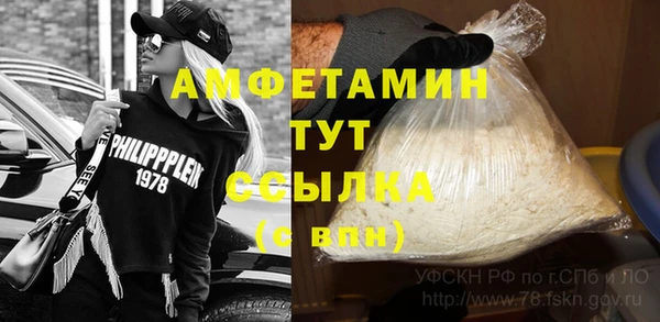 индика Костерёво