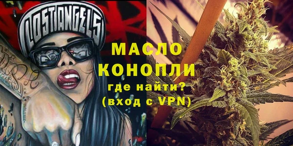 индика Костерёво