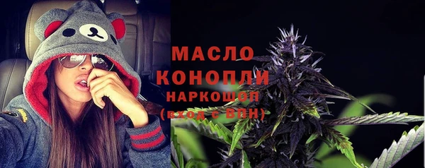 индика Костерёво