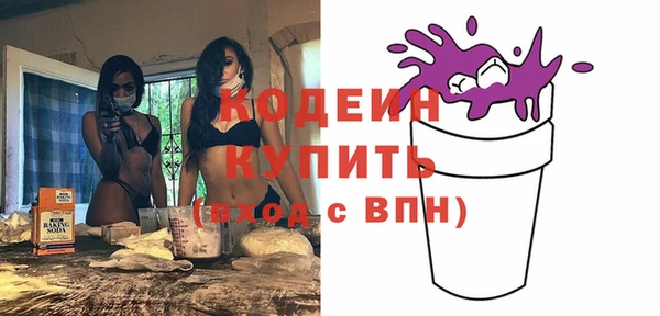 индика Костерёво